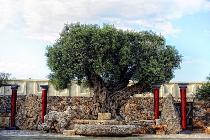 Minoan Day Experience - Inside Minoan Theater: From Phaedra’s Welcome to Gaia’s Prayer