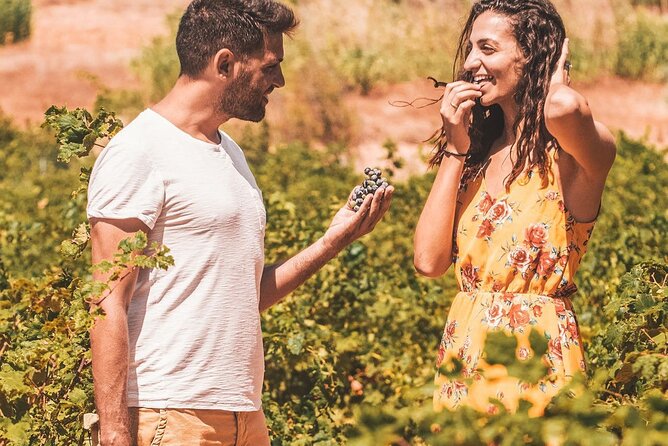 Minoan Luxuries: Ancient Palaces, Messara Wine Routes & Matala - Pickup, Vehicle Comfort, and Why the Little Details Matter