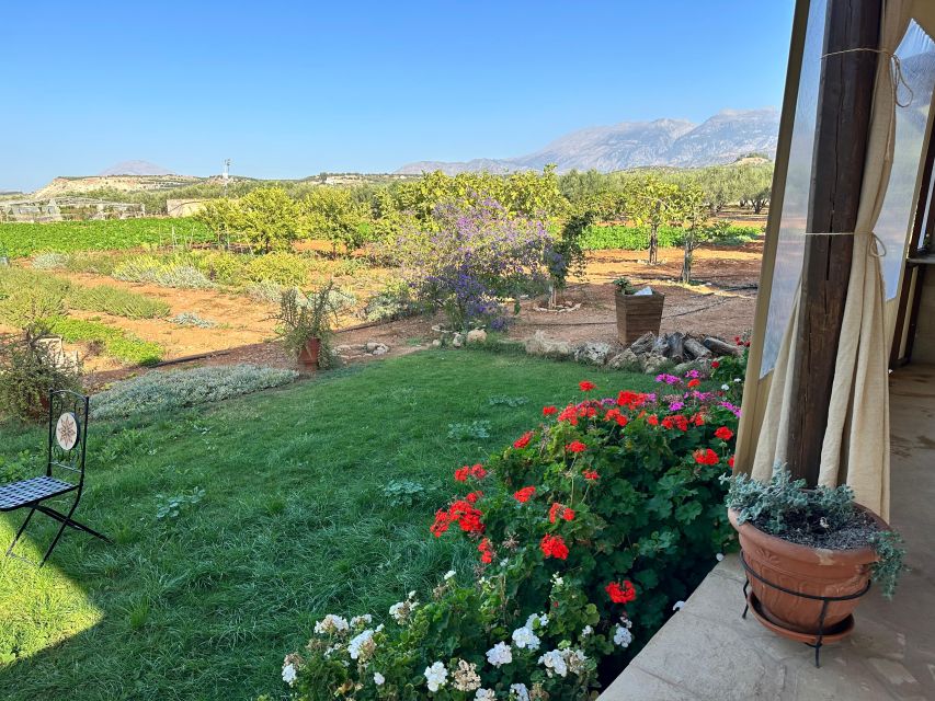 Moires: Cooking Class and Olive Oil Tasting at a Family Farm - The outdoor setting: why the farm kitchen works so well