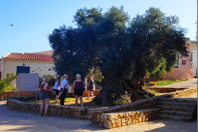 Monastery - Ancient Olive tree & Museum-Cretan Brewery Private Tour from Chania - Olive Tree Museum: traditional tools, not just talking points