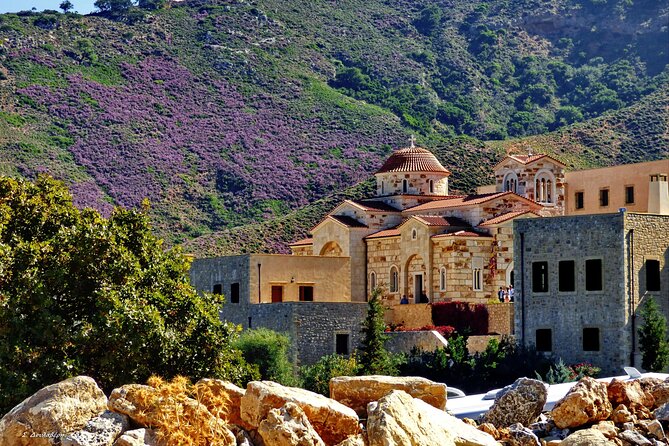 Monastery - Ancient Olive tree & Museum-Cretan Brewery Private Tour from Chania - Vouves Olive Tree: the world’s oldest tree story you can walk through