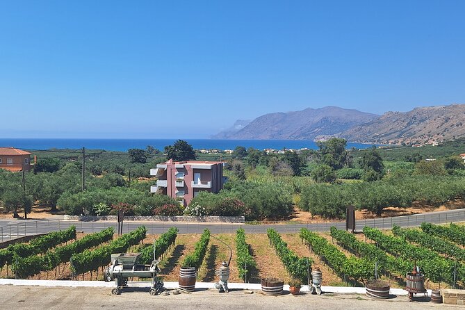 Monastery, Elafonissi and Winery Tour from Chania - Elafonissi Beach Time: Pink Sand, the Shallow Bridge, and Shade Strategy