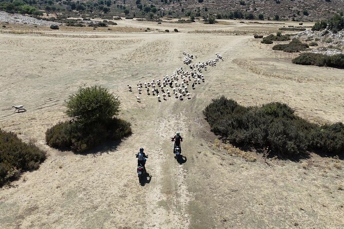 Moto Adventure Crete - Single & Multi Day Tours - On & Off Road - The big picture: what you’re really buying for $313.24