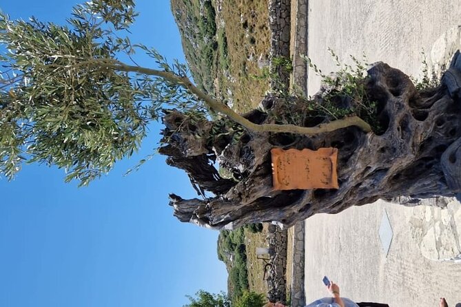 Mount Juktas, the observatory of CRETE ZEUS face mountain - Lunch at Stironas: a real Cretan meal with raki and wine