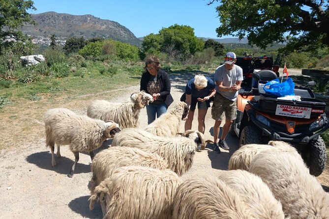 Off-road Buggy Safari in Crete with a Guide - Malia Palace at a glance: what you see and what you skip