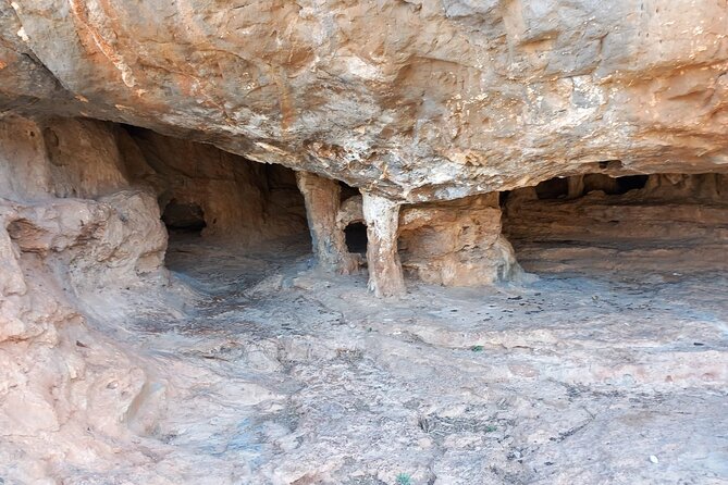Off-road Buggy Safari in Crete with a Guide - Vrachasi monastery: altitude views, feeding goats, and an 800-year oak