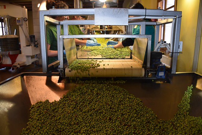 Olive Oil Tasting Tour - Where it happens: Epano Archanes and the Koronekes setting