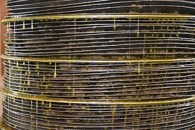 Olive Oil Tasting Tour - First cold pressed vs cold extraction: what to listen for