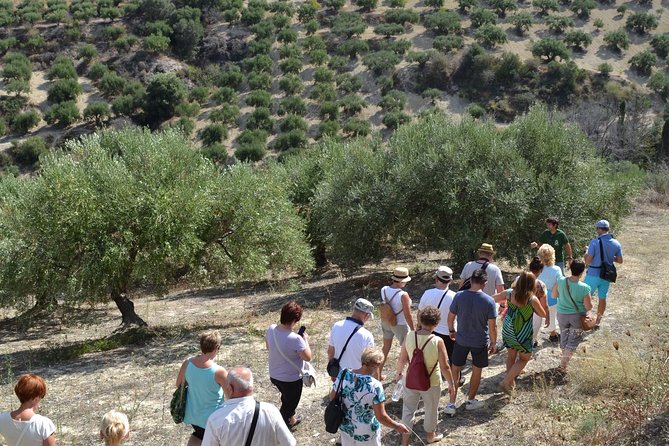 Olive Oil Tasting Tour - The tasting flight: 3 qualities of EVOO plus flavored oils