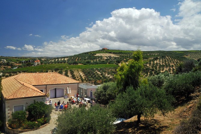 Olive Oil Tasting Tour - What you get for the price: value in a short, focused experience