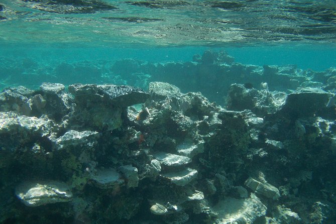 Olous – Guided Snorkelling Excursion to Discover Olous Sunken Ancient City - The Guide Experience: Teaching You to Snorkel Without Panic