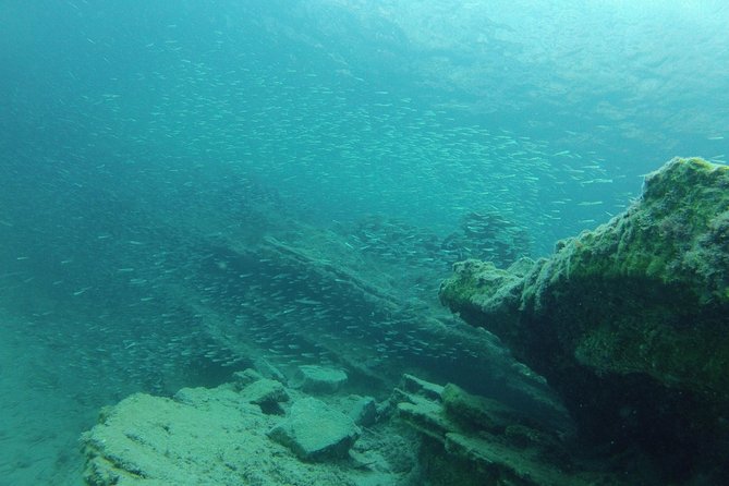 Olous – Guided Snorkelling Excursion to Discover Olous Sunken Ancient City - Marine Life on the Same Page as History