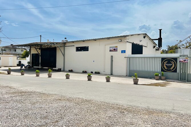 Pallada Semi-Private Olive Oil Tours in Sternes, Chania - Key things I’d put on your must-do list