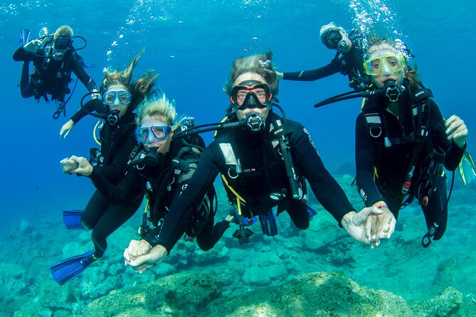Plakias: Try Scuba Diving first time - Private, from 8 yrs. - Plakias and Souda Beach: guided sea life spotting (and why the stops matter)