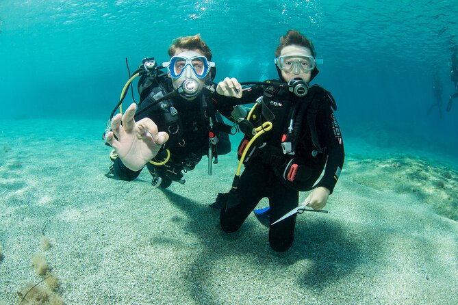 Plakias: Try Scuba Diving first time - Private, from 8 yrs. - Should you book this in Crete? My practical take