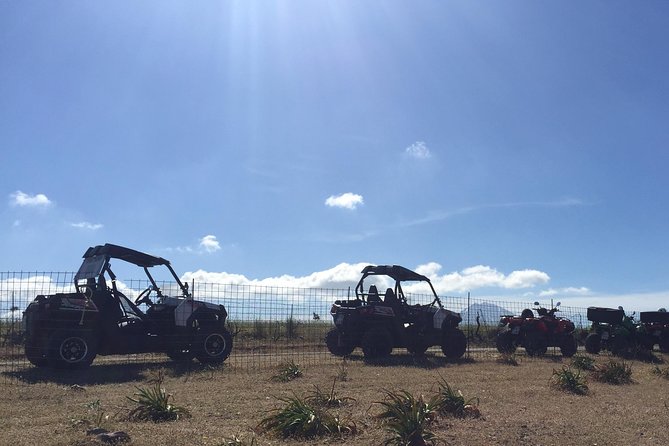 Polaris Buggy 4-Hour Safari from Rethymno Town - Prassies snack stop: quick break, good contrast
