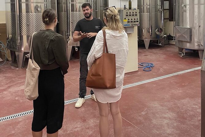 Premium Cretan Olive Oil Tasting, Wine, Raki and Local Food Tour - Stironas raki distillery: traditional kazani production and real snacks