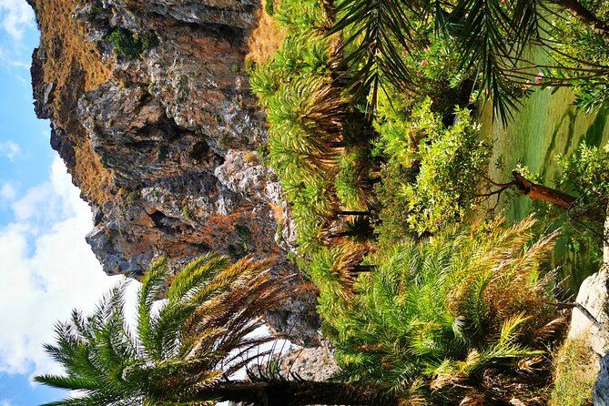 Preveli Beach & Palm Forest :Full-Day Tour with Lunch Box - From Heraklion to Preveli: the drive that sets the tone