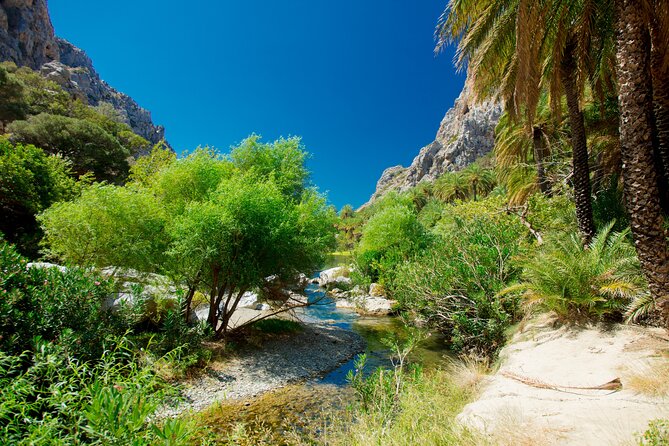 Preveli Beach & Palm Forest :Full-Day Tour with Lunch Box - Palm forest time: how to make the most of your 3 hours