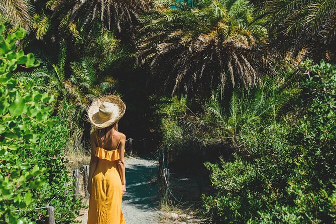 Preveli Beach & Palm Forest :Full-Day Tour with Lunch Box - Springs and gorge cliffs: a scenic pause before the beach walk