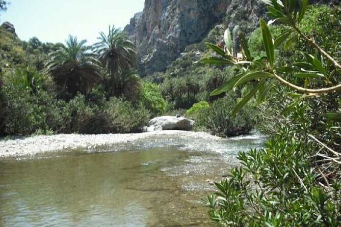 Preveli palm Beach & Damnoni Excursion - Who This Excursion Suits (and Who Might Want a Different Plan)