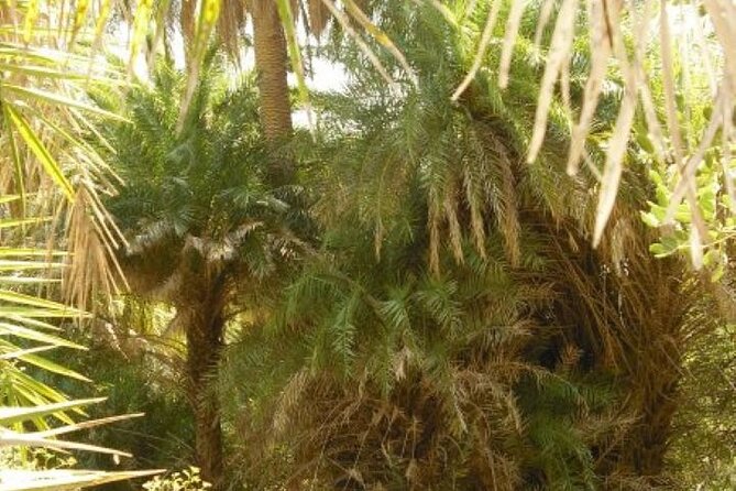 Preveli palm Beach & Damnoni Excursion - What Can Go Wrong, and How to Reduce the Chances You Feel Stuck