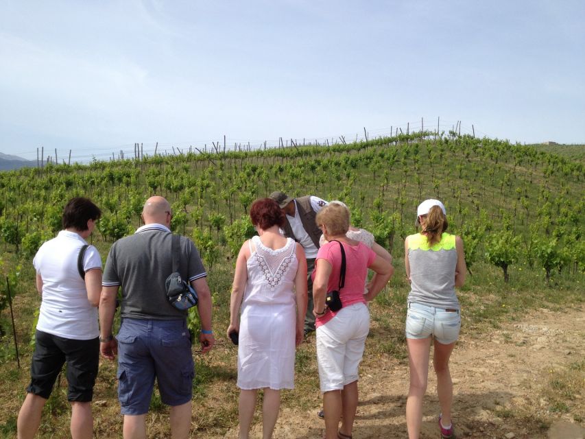 Private Exclusive Manousakis Winery and Vineyard Tour - Who this private tour fits best (and who should skip)