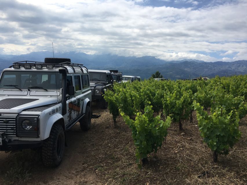 Private Exclusive Manousakis Winery and Vineyard Tour - A 4x4 wine country day above Chania