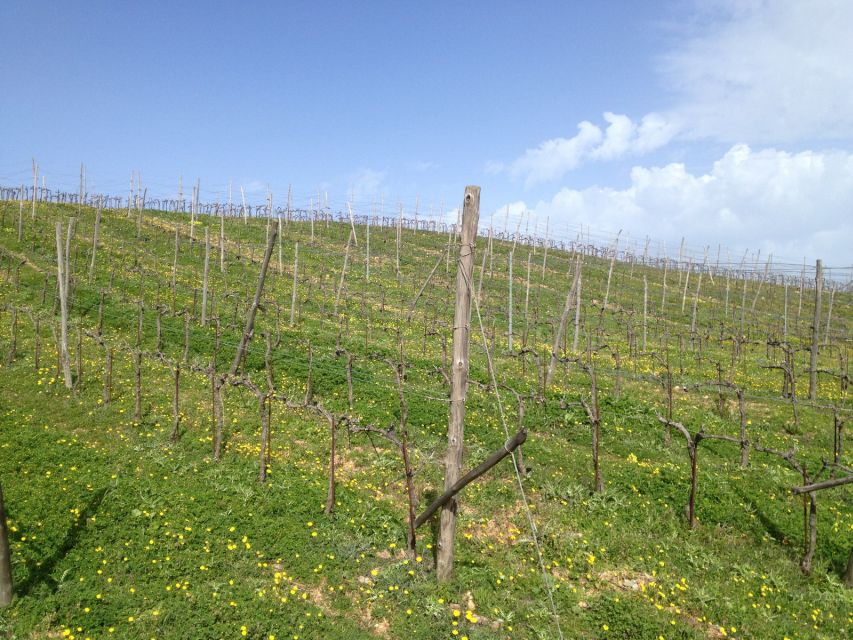 Private Exclusive Manousakis Winery and Vineyard Tour - The quick stops: Valsamioti dam photos and village scenery
