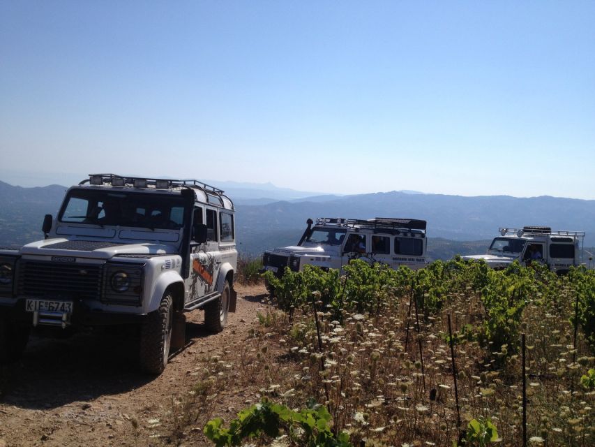 Private Exclusive Manousakis Winery and Vineyard Tour - Arriving at Manousakis Winery: what the guided tour adds
