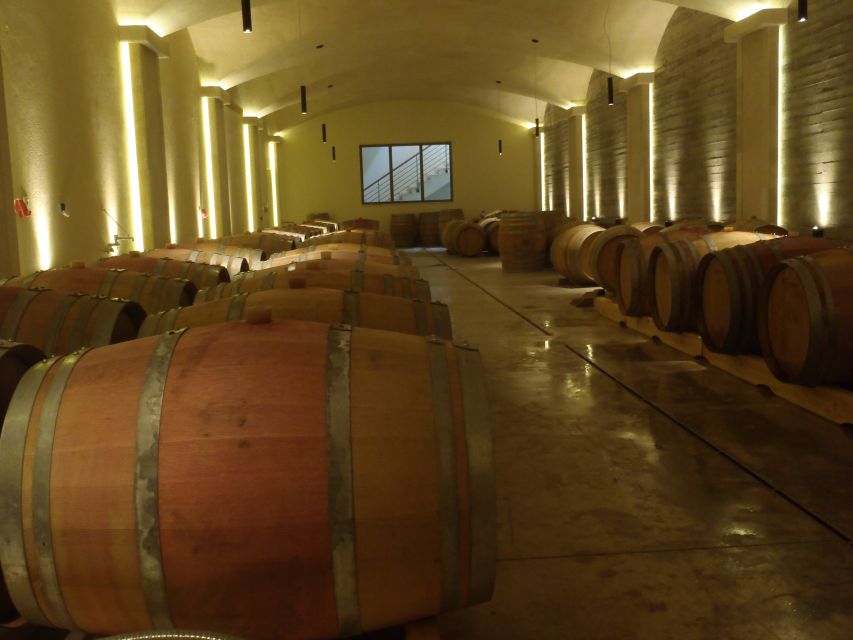 Private Exclusive Manousakis Winery and Vineyard Tour - Price and logistics: does $565 feel fair?