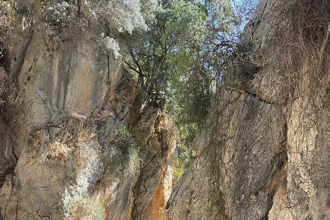 Private Hiking Tour in Imbros Gorge (Chania) - Price and Group Value for Up to 8 People