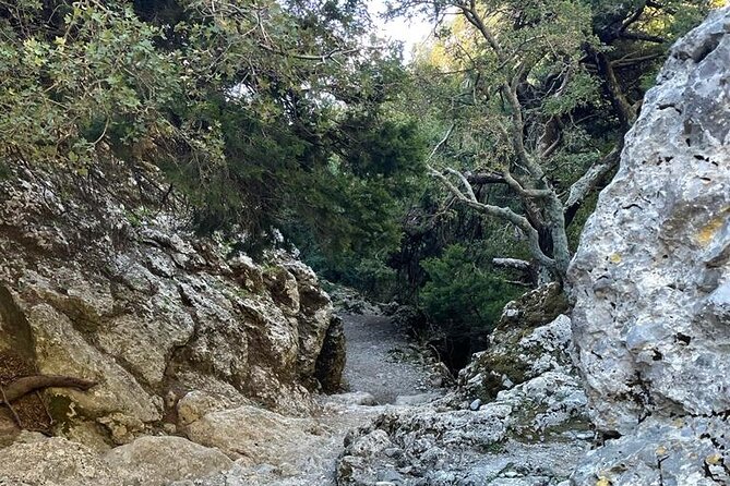 Private Hiking Tour in Imbros Gorge (Chania) - Pickup, End-Point Clarity, and Day-of Flow