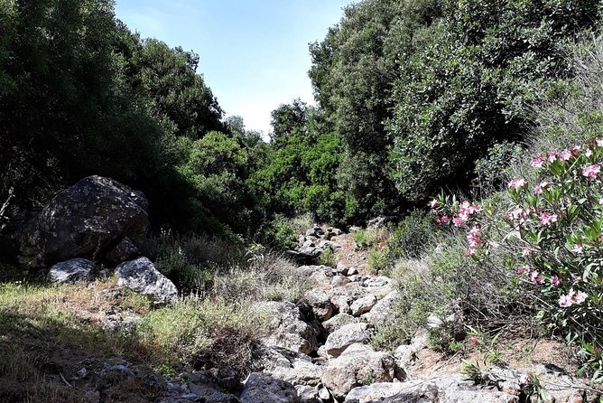 PRIVATE Hiking Walking GORGE nearby Hersonissos CRETE - Entering The Aposelemis Gorge: What This 5-Mile Hike Is Like