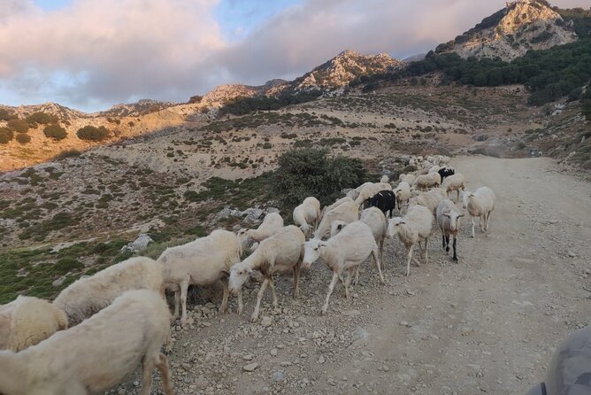 PRIVATE Jeep Safari 4x4 SUNSET (with Dinner) in Mountains CRETE - The Real Benefit: Avoiding Crowds Without Feeling Closed Off