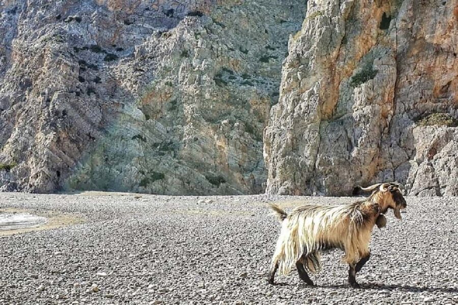 Private Jeep Tour to Agiofarago Beach to swim & Matala walk - Key highlights worth planning for