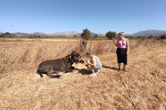Private Jeep Tour - Zeus Cave - Cretan villages - Ano Kera Wood-Oven Lunch: Wine, Water, and the Real Deal Food Break
