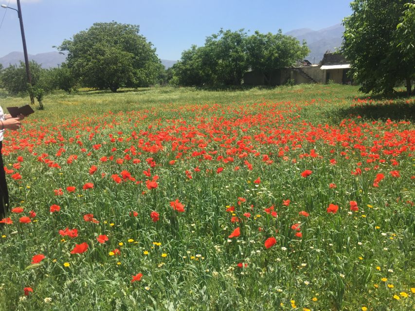 Private-Knossos Palace-Zeus -Villages-Olive Oil Factory - Old Villages Like Mochos and Krasi: Where Time Slows Down