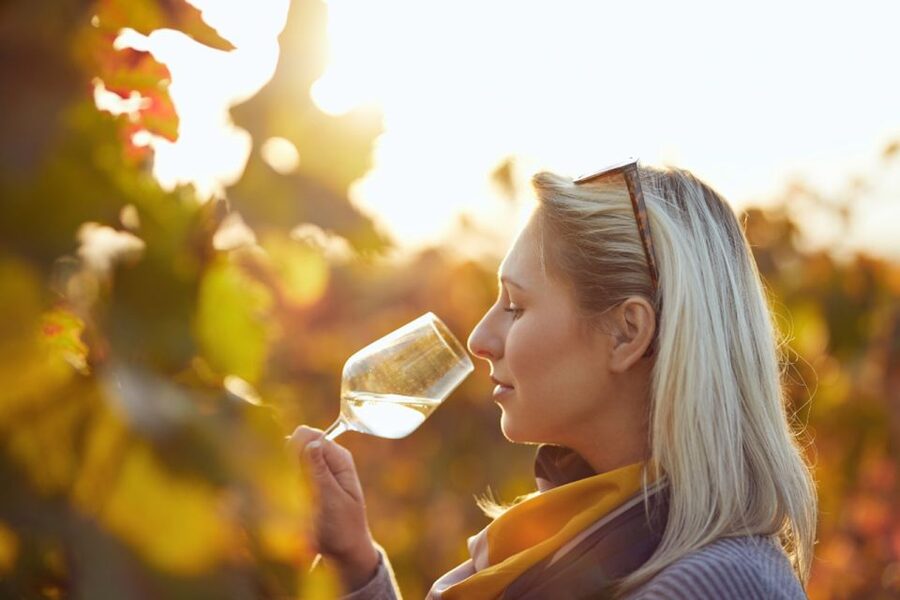 Private Knossos Skip The Line Tour inc. lunch & wine tasting - Private pickup in Heraklion makes the day feel easy