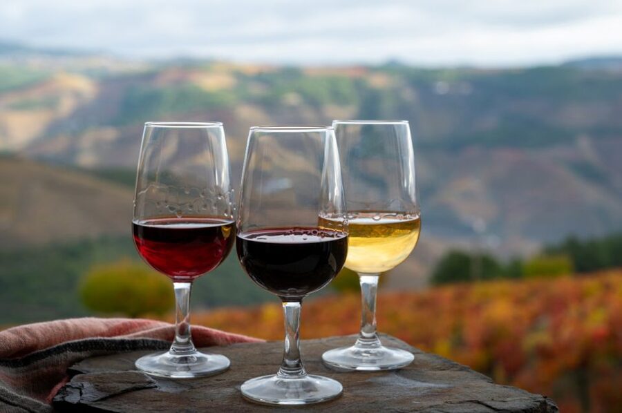 Private Knossos Skip The Line Tour inc. lunch & wine tasting - Price and value: is $338 per person actually fair?