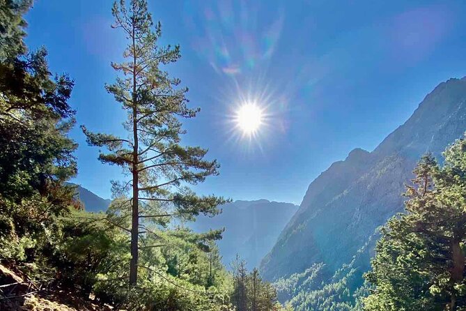 Private Roundtrip Transfer from Chania to Samaria Gorge Park - Price check: what you pay vs. what you still need to budget
