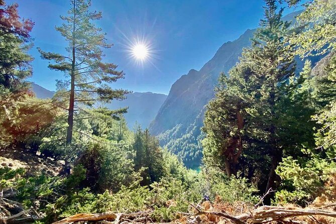 Private Roundtrip Transfer from Chania to Samaria Gorge Park - Who should book this private Samaria transfer?