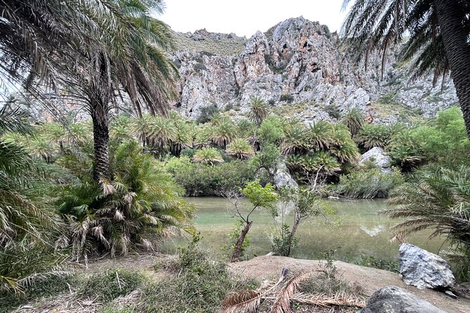Private South Crete Full-Day Tour-Spili, Kourtaliotiko & Preveli - South Crete, stitched together: why this day tour feels efficient