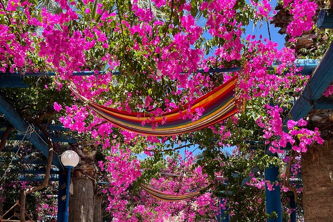 PRIVATE-South Crete-Matala Beach-Olive oil- Wine-Old Villages - Key things that make this private South Crete day worth it
