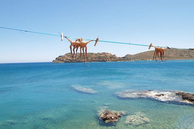 PRIVATE Spinalonga & Agios Nikolaos & Olive Oil Factory CRETE - Price and logistics: how this tour stays good value