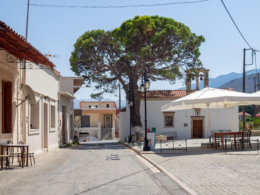 Private tasting of 6 cretan wines in Fres village - What you learn: Cretan wine history and how winemaking changed