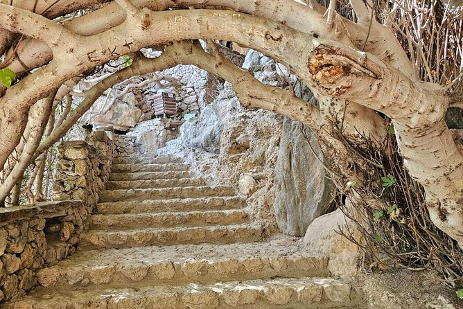 Private Tour Elafonisi Beach with Honey Olive Oil & Wine Tastings - Elos Village Lunch Option: Keep It Local or Trade It for More Tastings