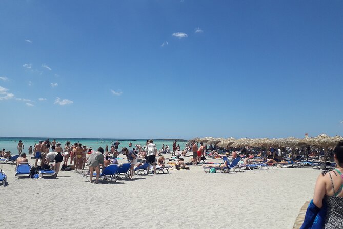 Private Tour Elafonisi Beach with Honey Olive Oil & Wine Tastings - Idiosmos Olive Oil and Honey: Where the Taste Stops Feel Real
