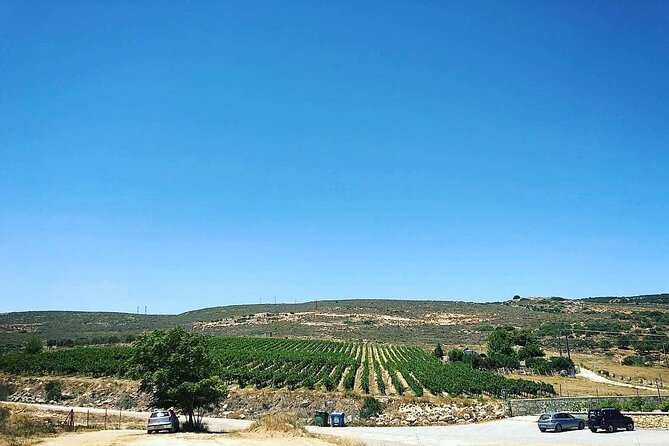 Private Tour: Soap, Olive Oil & Lyrarakis Winery with Lunch - Lunch at the winery: what’s included, and what to ask before you go