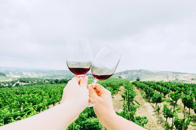 Private Tour: Soap, Olive Oil & Lyrarakis Winery with Lunch - Should you book this private Crete winery tour?